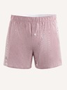 Celio Mistripe Boxer shorts