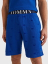 Tommy Hilfiger Sleeping shorts